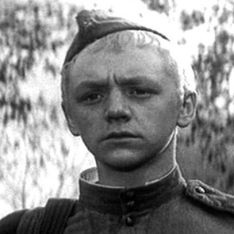 Годен к нестроевой