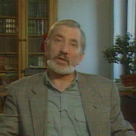 Кинопанорама