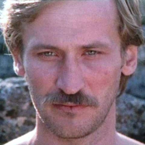 Берега в тумане