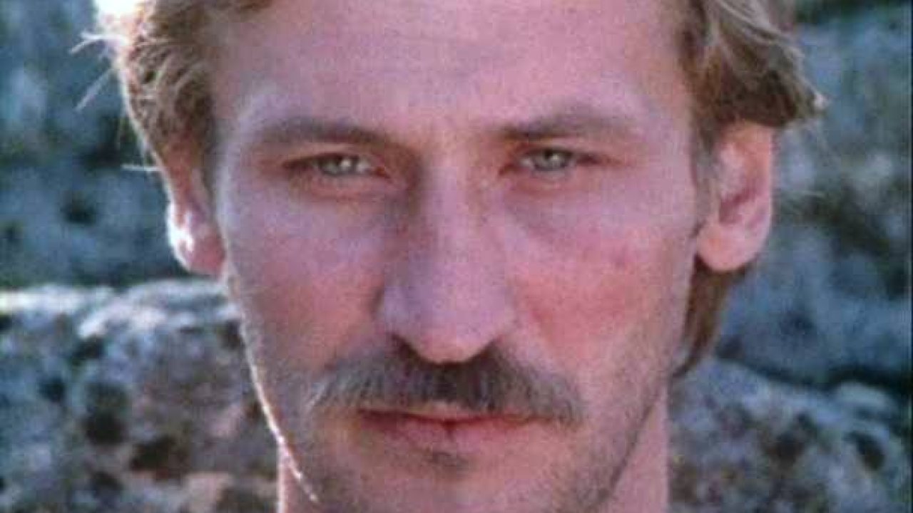Берега в тумане