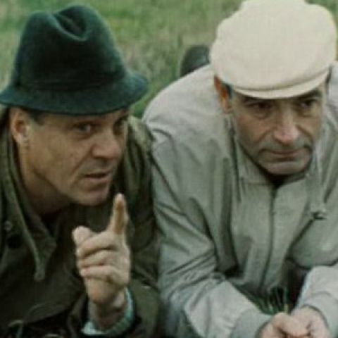 Год теленка