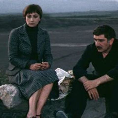 Аревик