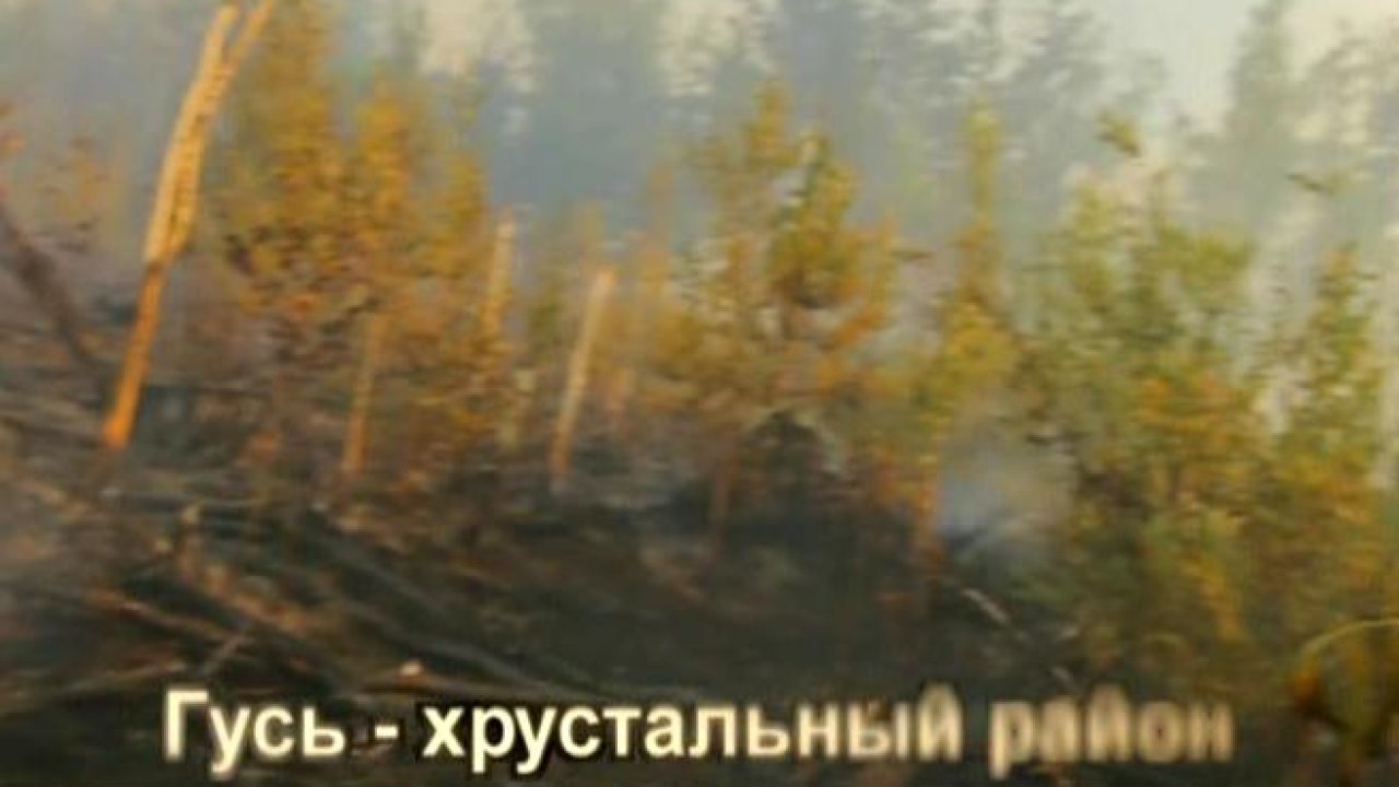 ProНАС