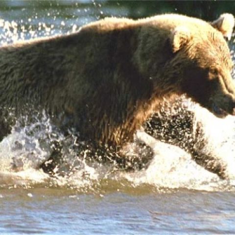 Россия от края до края