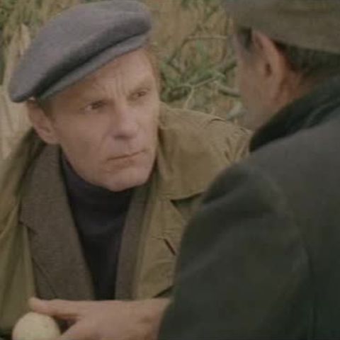 На новом месте