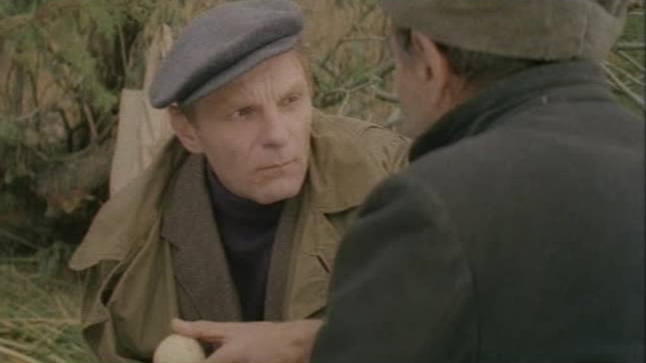 На новом месте